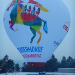 Balloon s/n 1769